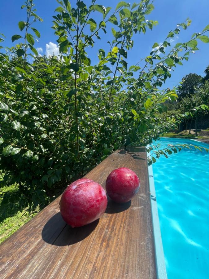 Quinta Das Ameixas - Country & Nature アロウカ エクステリア 写真