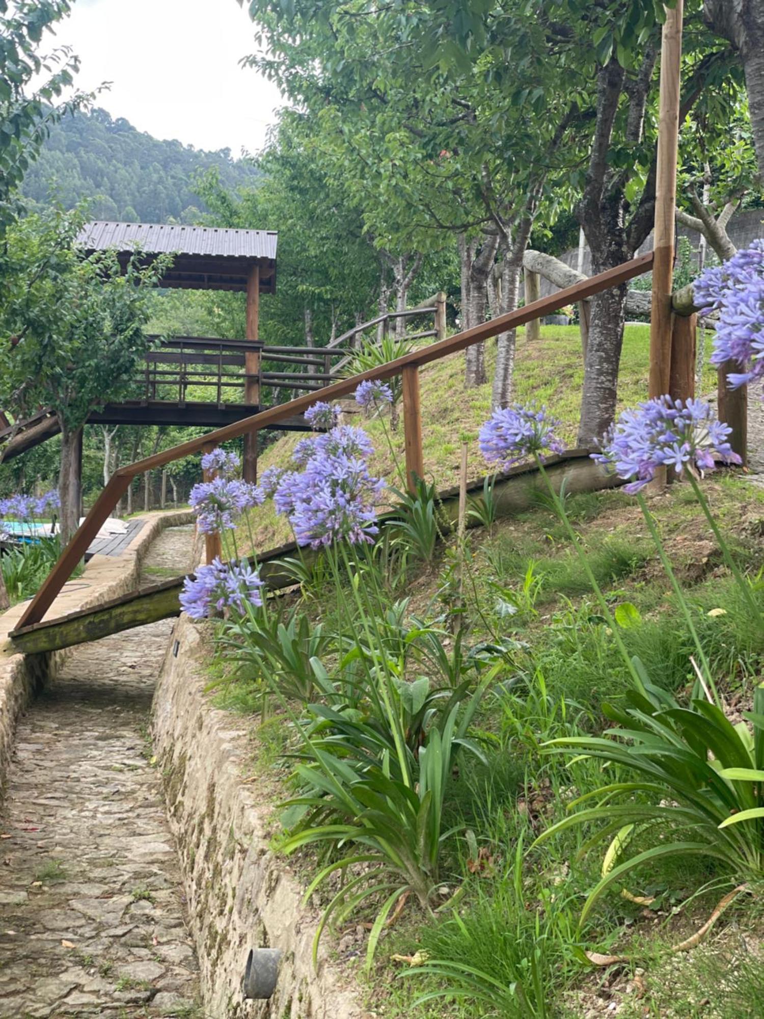 Quinta Das Ameixas - Country & Nature アロウカ エクステリア 写真